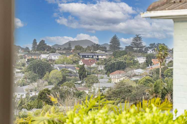 14 Dally Terrace Mount Roskill_28
