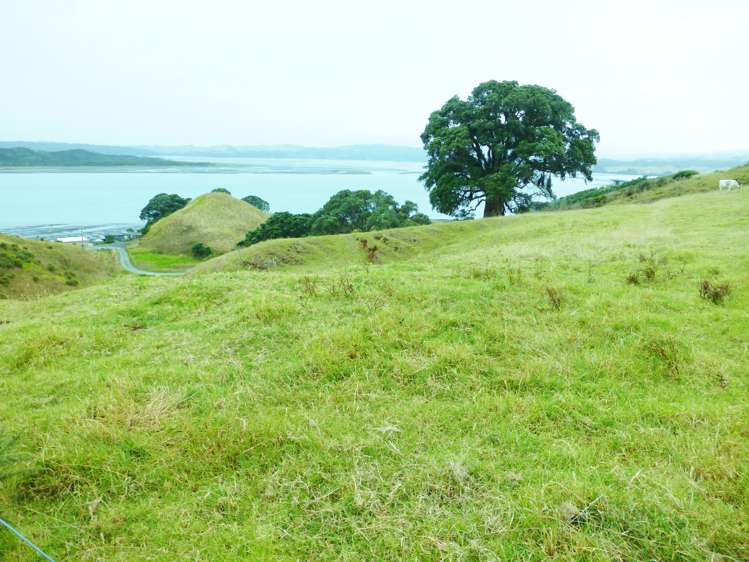 306 Morrison Road Kawhia_1