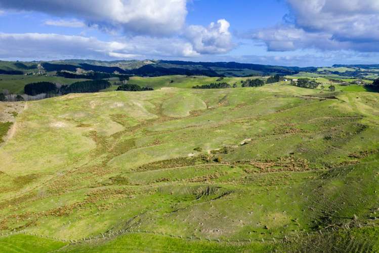 North Camp Road Waipu_10