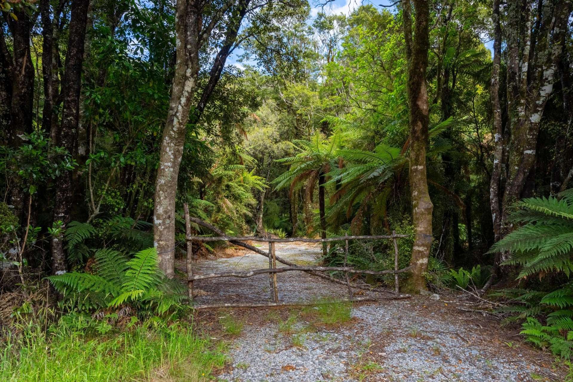 Arawata, Jackson Bay Haast_0