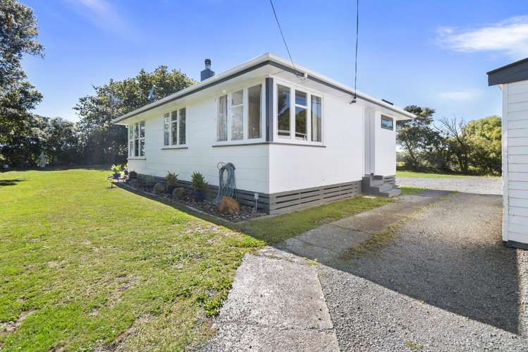 22 Ward Street Bulls_16