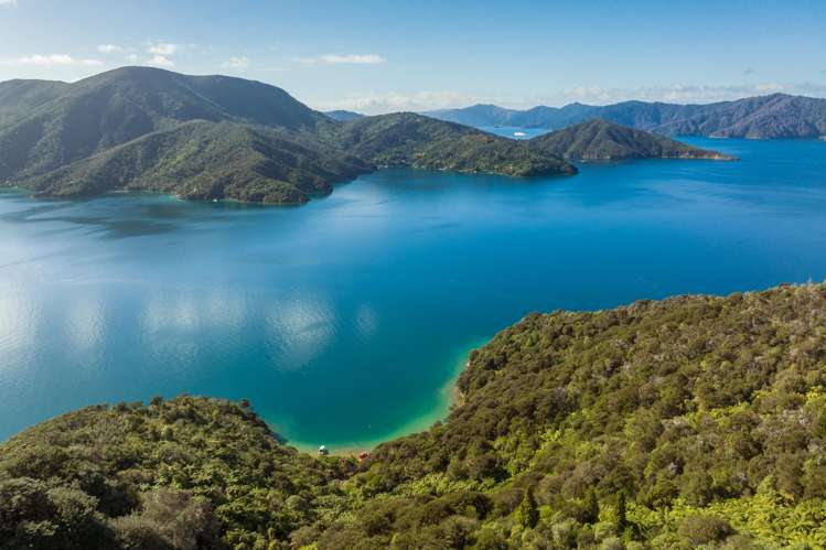 Cherry Bay, Ruakaka Bay Marlborough Sounds_28