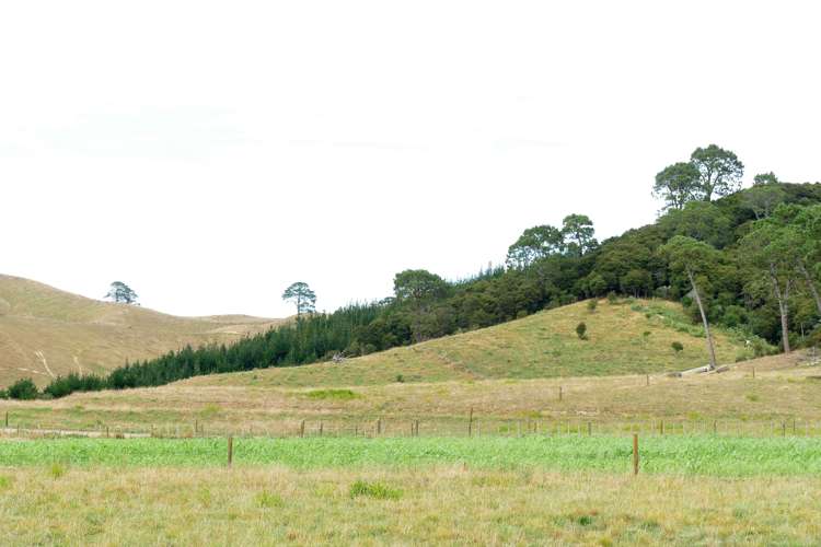 314 Martin Road Waerenga_2