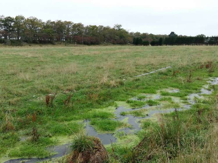 14 Kingfisher Lane Loburn_12