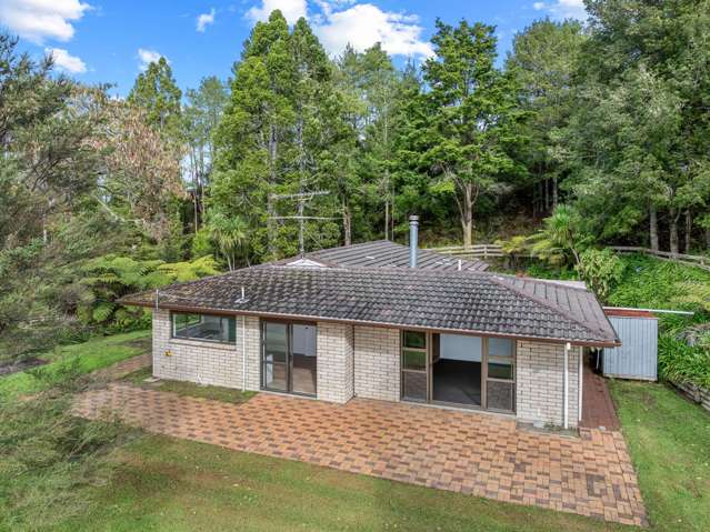 Entry Level Lifestyle: Affordable 12 Acres!