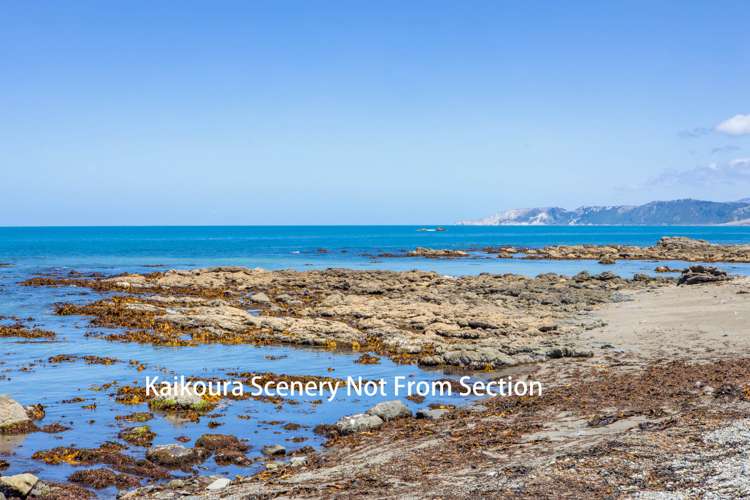 2 Lookers On Lane Kaikoura_19
