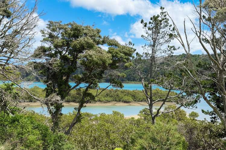 142a Kittiwake Drive, Schnapper Rock Albany_6