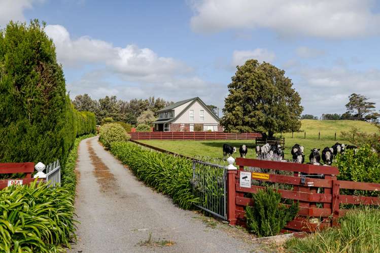 940 State Highway 1 Himatangi_28