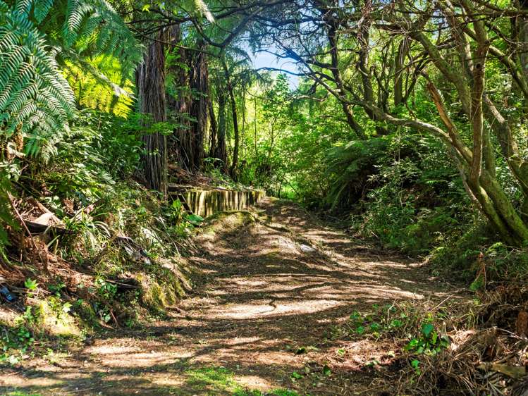 33 Silkwood Way Tauriko_30