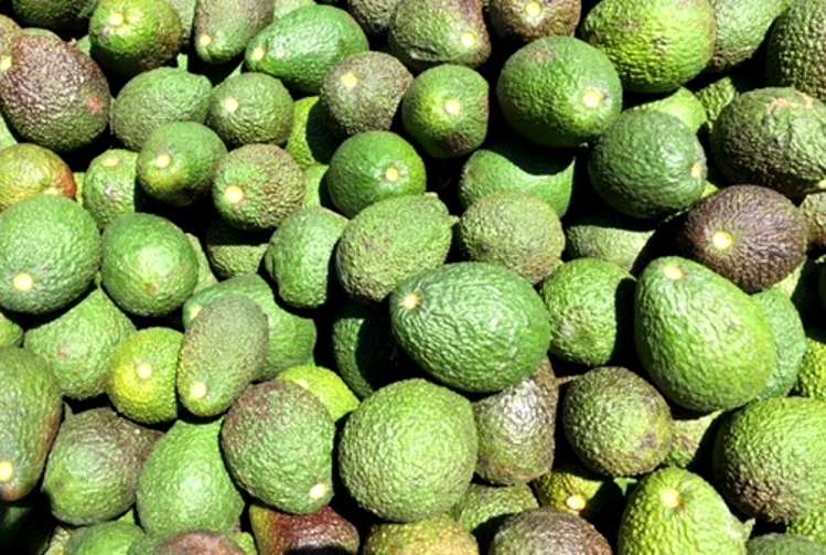 89c Merrick Road Pyes Pa_4