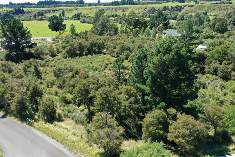 15 Onekaka Iron Works Road Kahurangi National Park_13