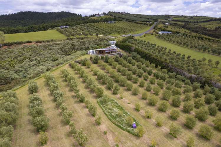 87 Leccino Valley Road Mangonui_27