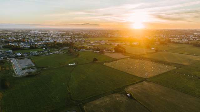 Awa Park Feilding_3