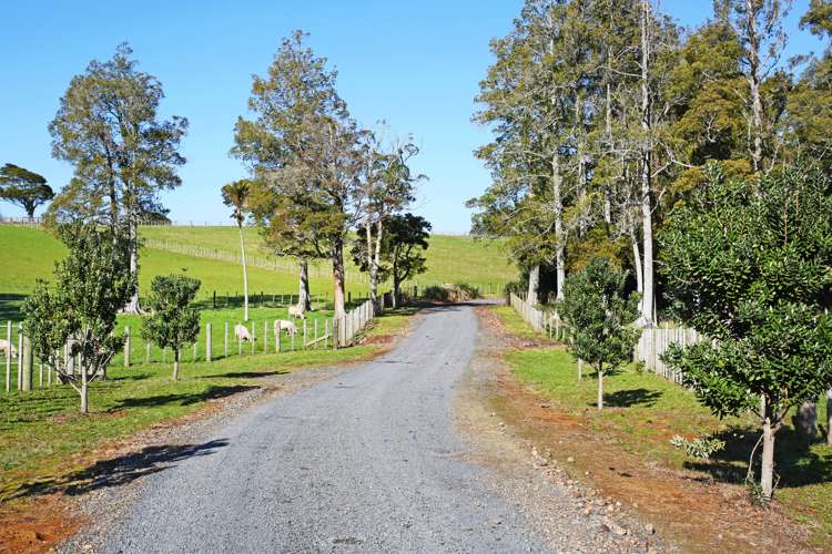 34 Quinn Road Mauku_22