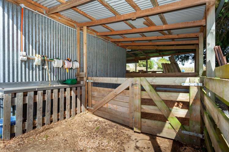 306 Morgan Road Matamata_16