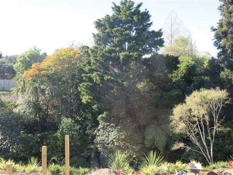 3/58 Herbert Road Queenwood_33