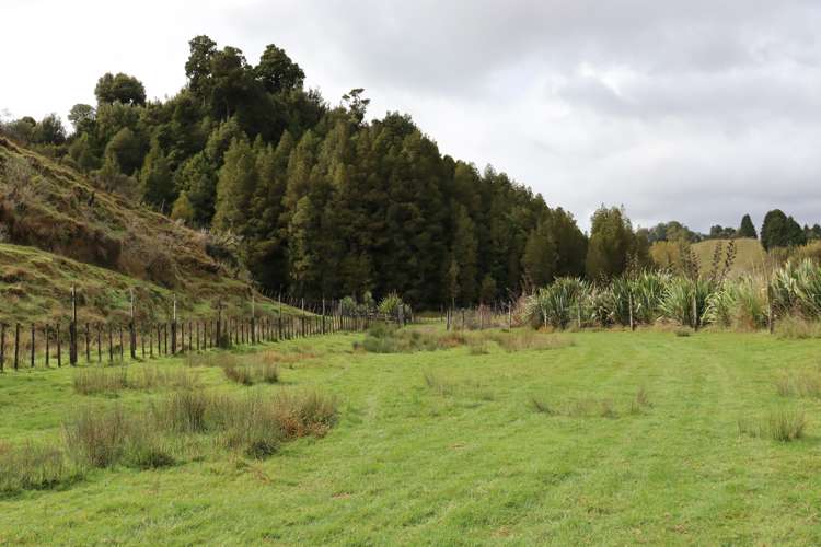 4869 Ohura Road Pohokura_30