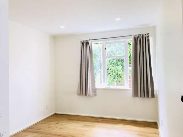 20 Rawalpindi Street Mount Albert_4