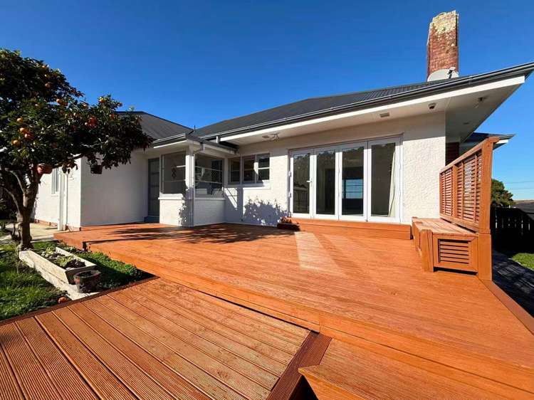 38 Carlton Road Pukekohe_13