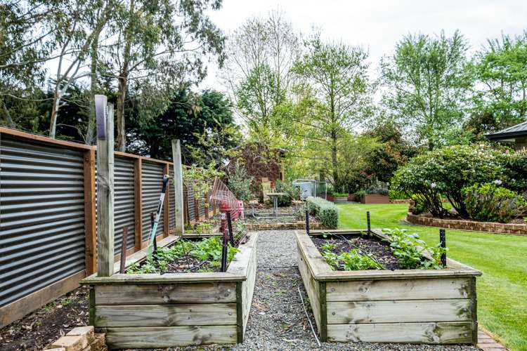 587 Woodbury Road Geraldine_5