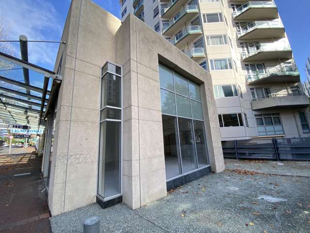 205 Hobson Street Auckland Central_3