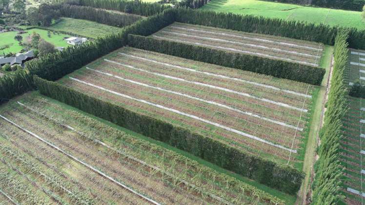 369b Kapiro Road Kerikeri_7