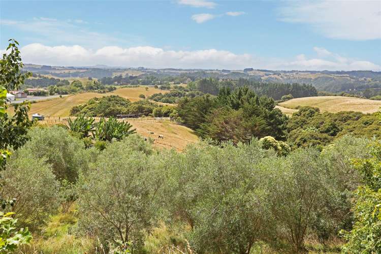 3699 Highway 22 Whangape_15