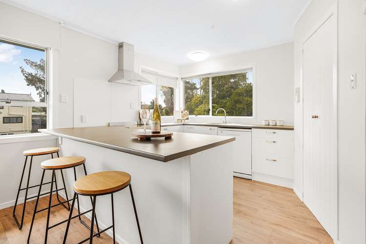 31 Ellicott Road Nawton_3