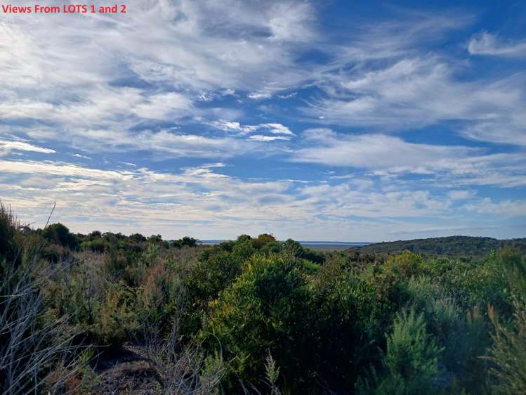 1/2 Tahanga Road Lake Ohia_19