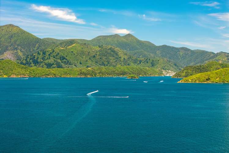 Lot 1 Double Cove Queen Charlotte Sound_13