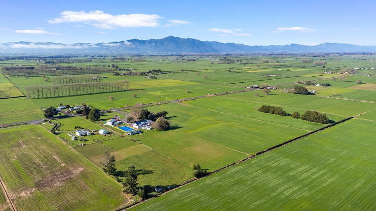 No 1 Road Morrinsville_7
