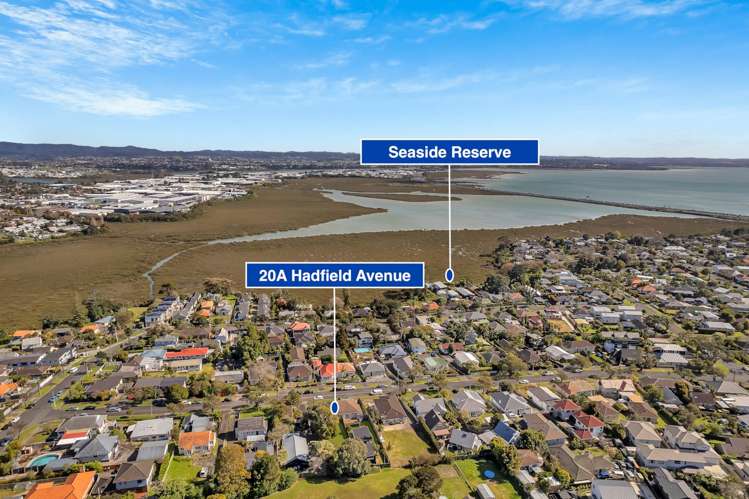 20a Hadfield Avenue Waterview_25
