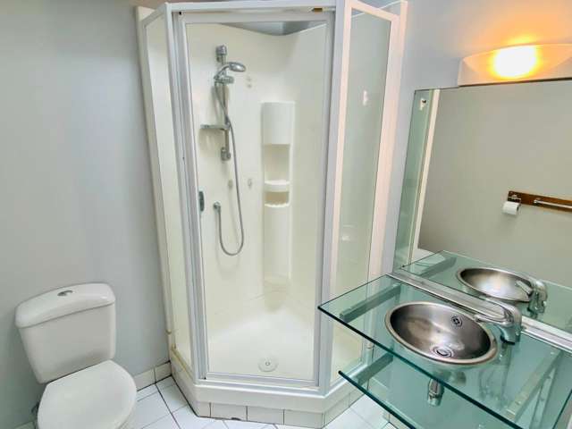 4b/22 Kitchener Street Auckland Central_4