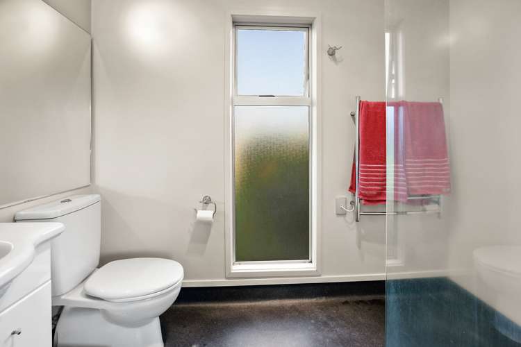 46 Caernarvon Street Dinsdale_18