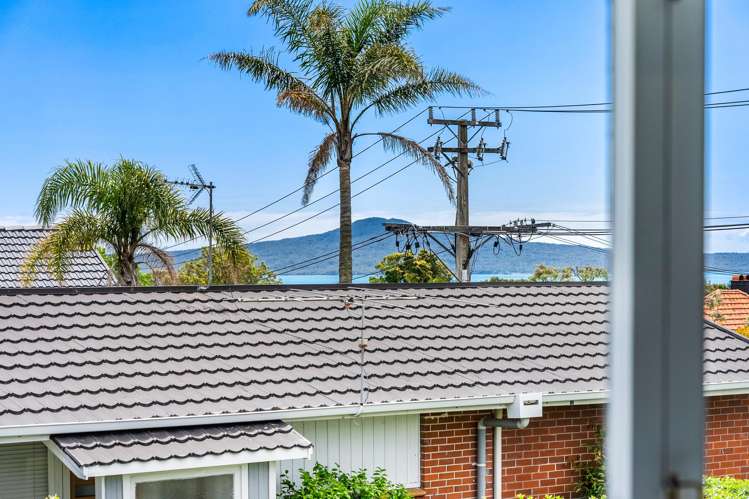 163 Long Drive St Heliers_18