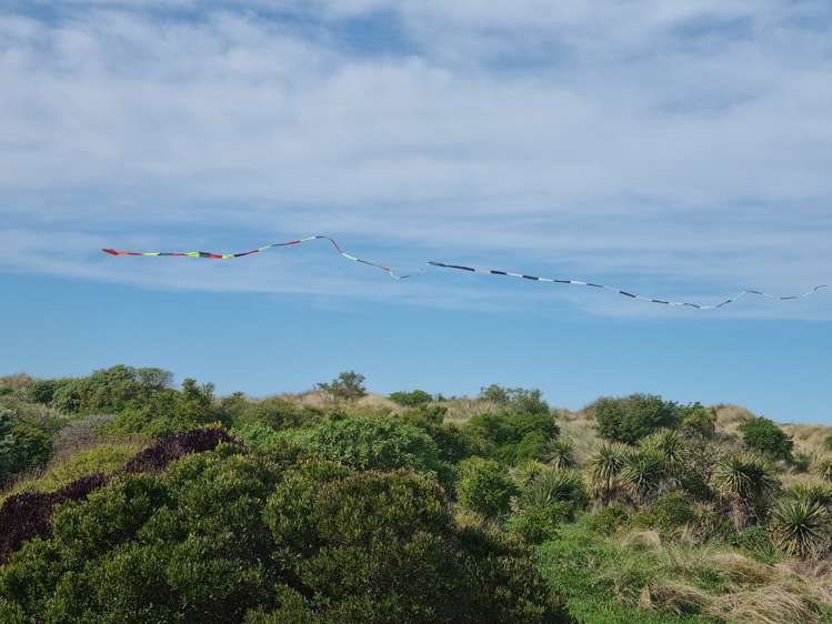 45a Rocking Horse Road Southshore_32