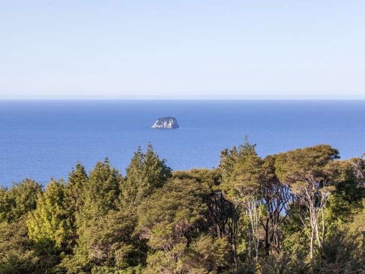 425l Boat Harbour Road Whenuakite_10