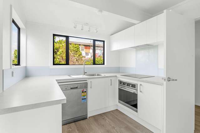 73A Pembroke Street Hamilton Lake_2