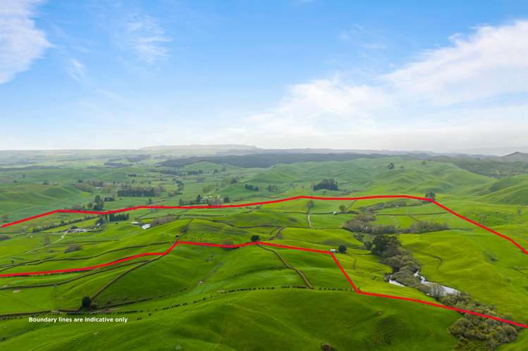 310 Matarawa Road Kinleith_5