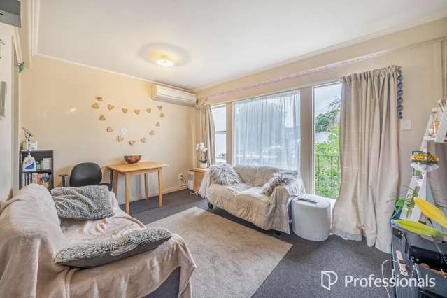 Brilliant Opportunity In Petone