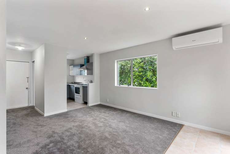 41 Fred Woodward Place Mount Roskill_9