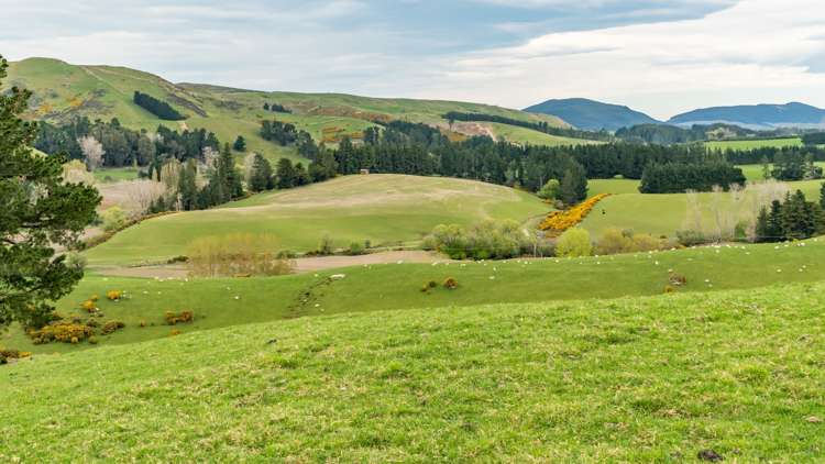 357 Waianiwaniwa Road Sheffield_10