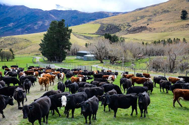 3733 Lees Valley Road Lees Valley_8