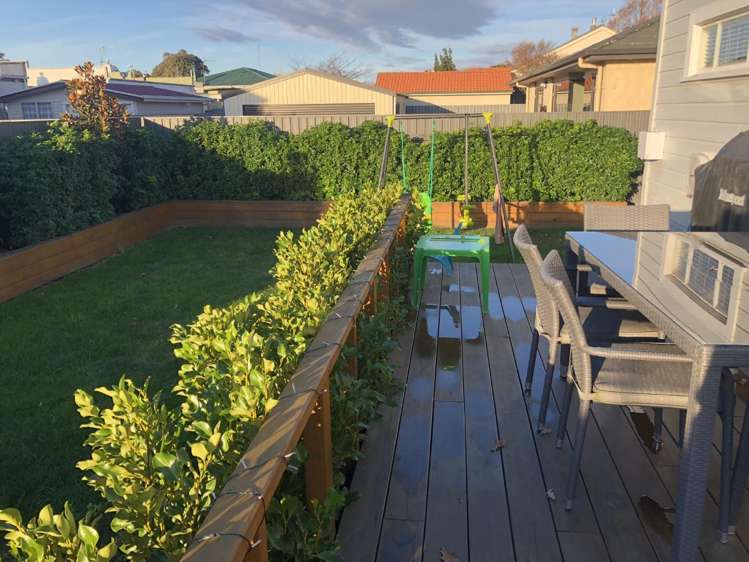 66a Tom Parker Avenue Marewa_4