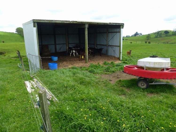 1265 Mountain Road Inglewood_31