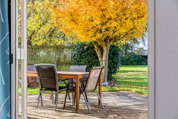 81b Horrell Road Morrinsville_6