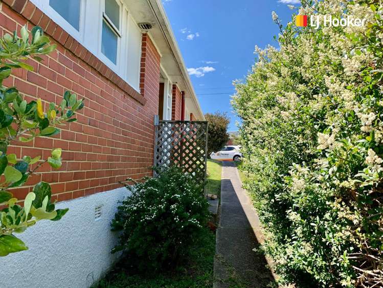 8 Ballantyne Street Waverley_16