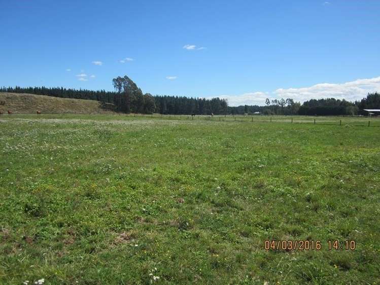 339 White Road Broadlands_5