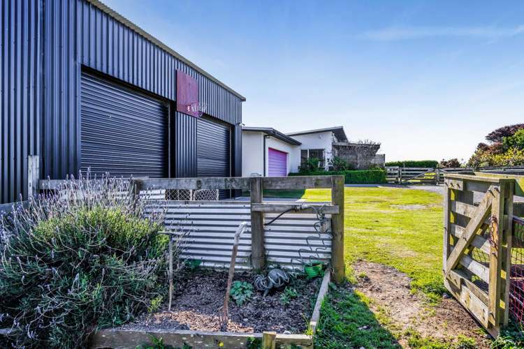 5674 Mountain Road Hawera_48