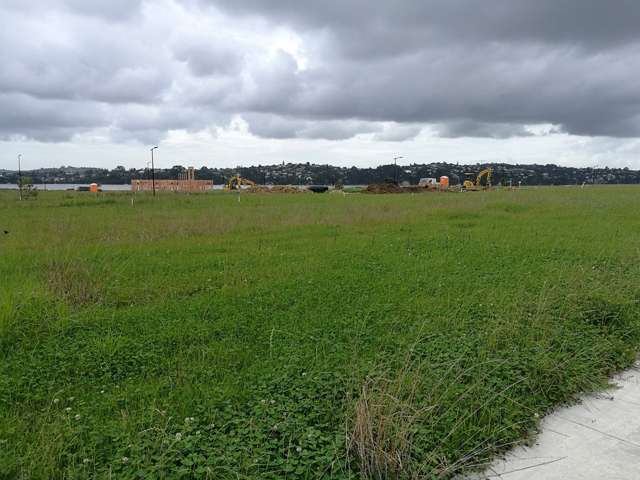 3 Habitat Place Hobsonville_2